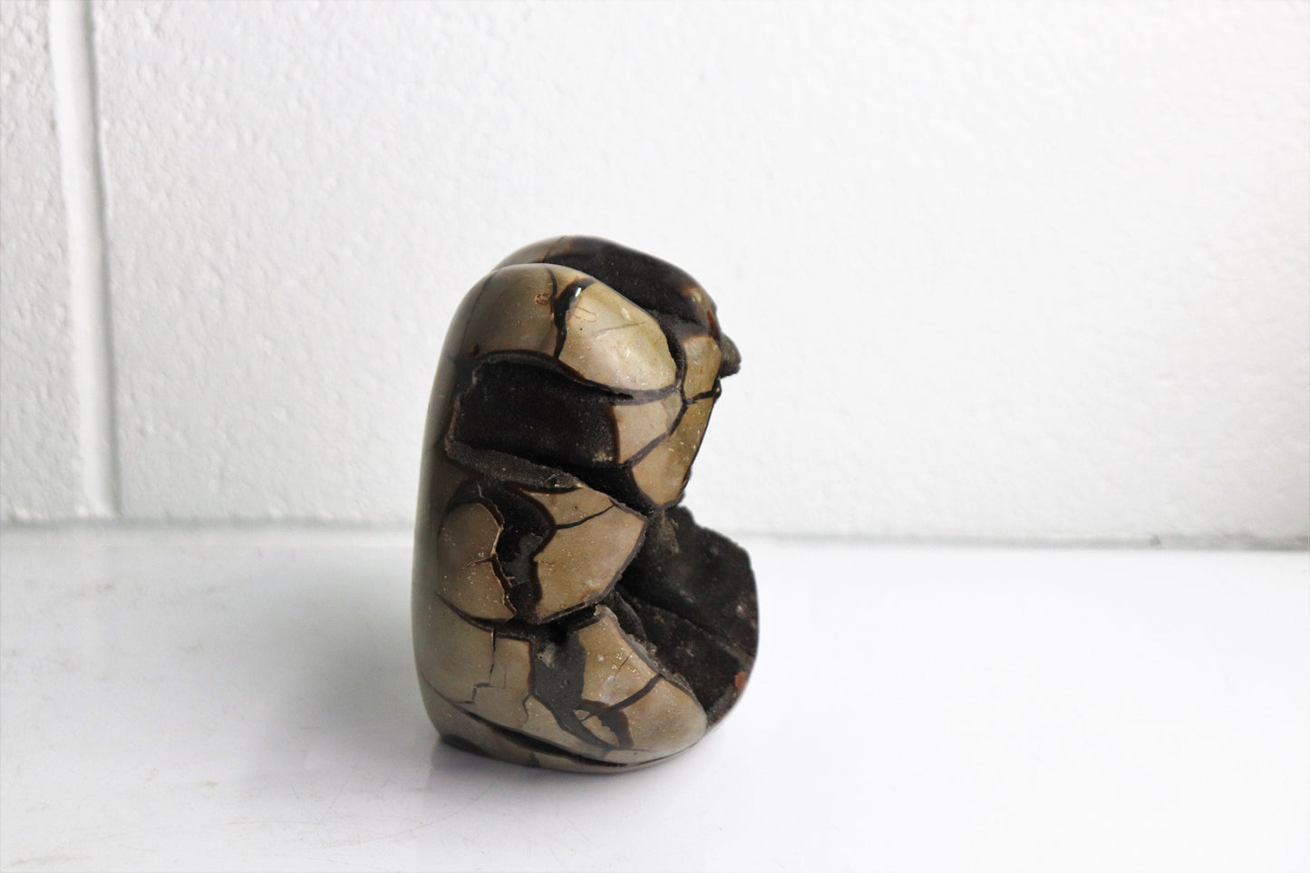 6) Black Septarian Calcite Crystal