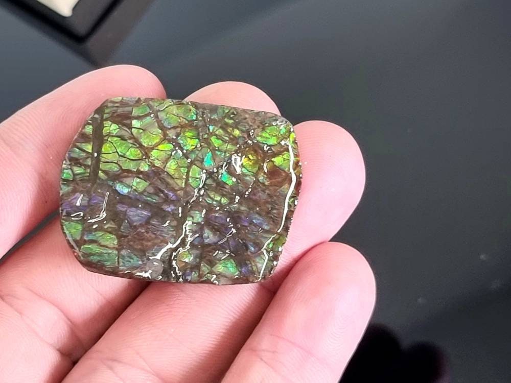14am) Ammolite Crystal Gemstone