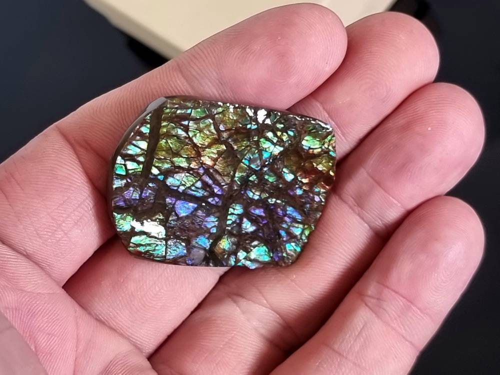14am) Ammolite Crystal Gemstone