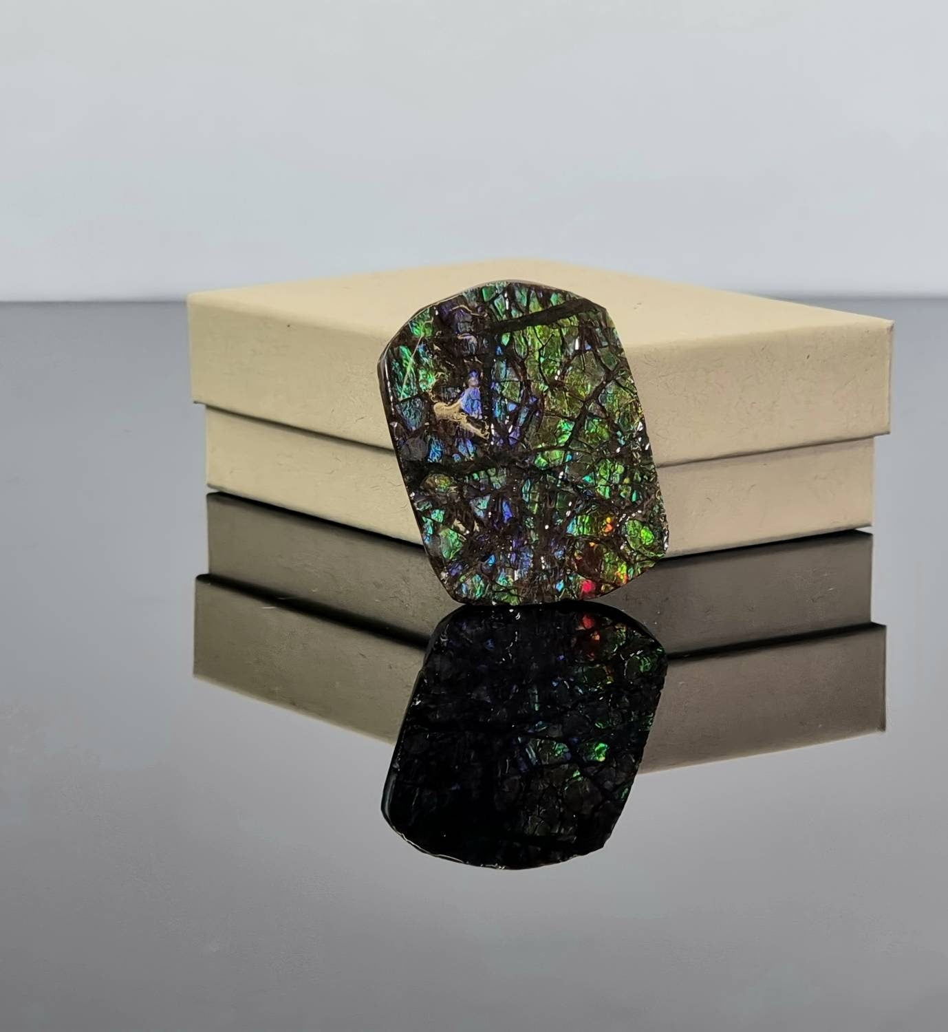14am) Ammolite Crystal Gemstone