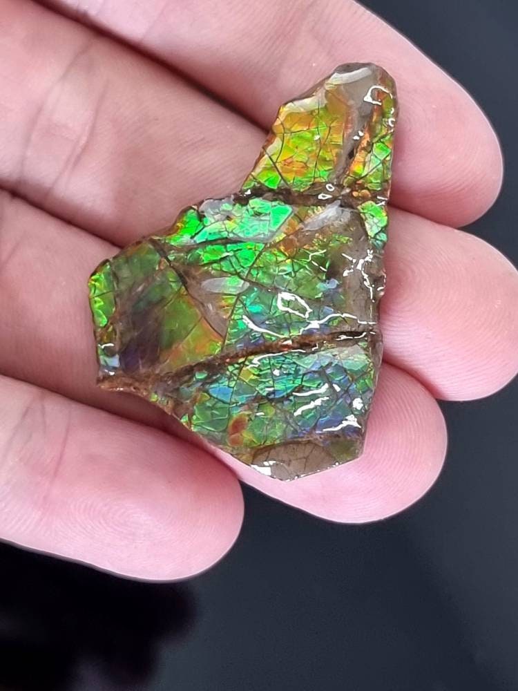 12am) Ammolite Crystal Gemstone