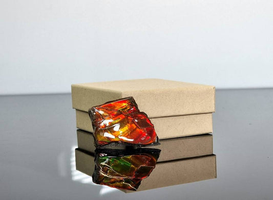 Ammolite Crystal Gemstone