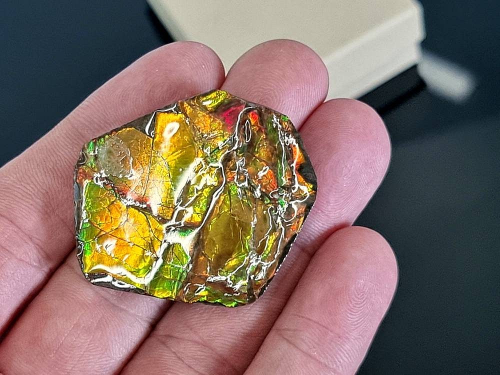 8am) Ammolite Crystal Gemstone