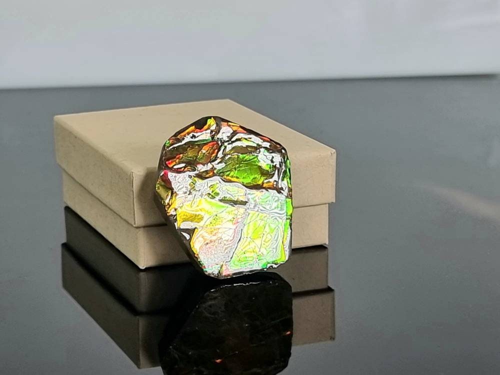8am) Ammolite Crystal Gemstone