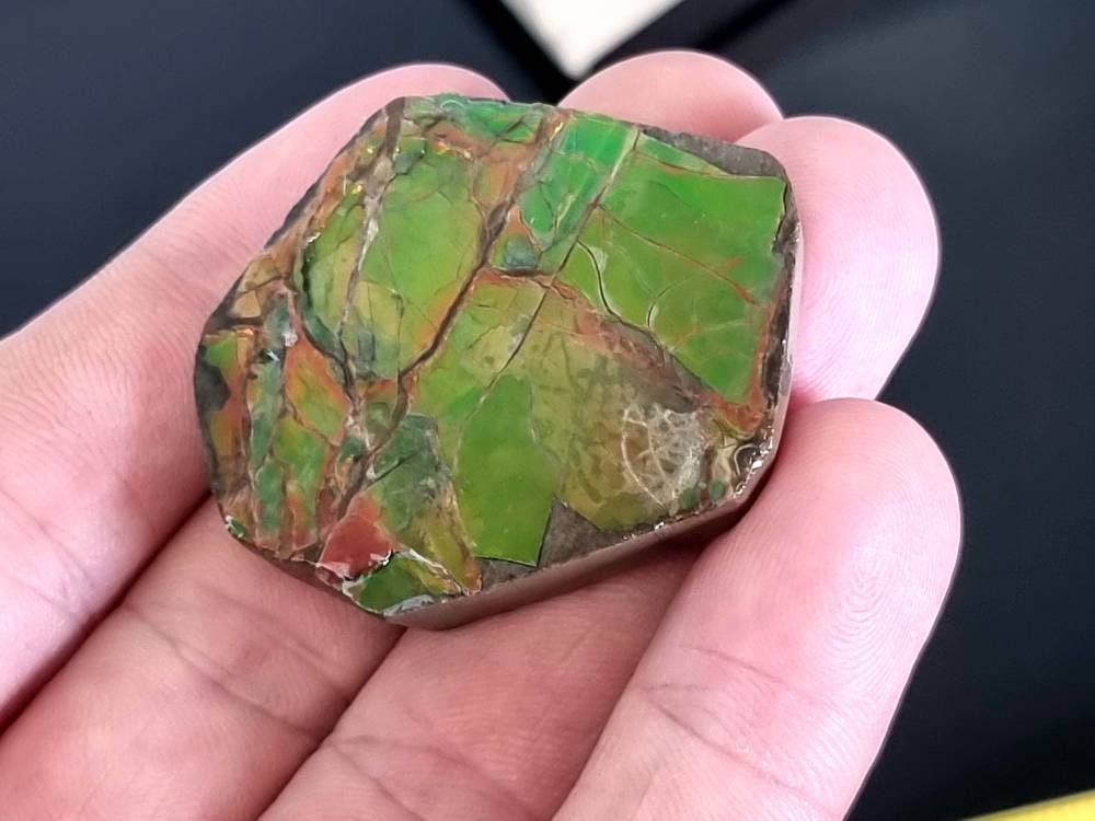 8am) Ammolite Crystal Gemstone