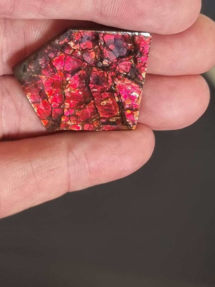 5am) Ammolite Crystal Gemstone