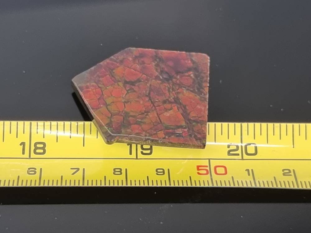 5am) Ammolite Crystal Gemstone