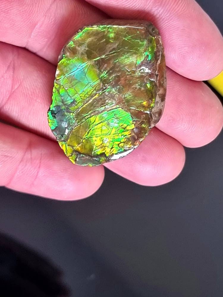 3am) Ammolite Crystal Gemstone