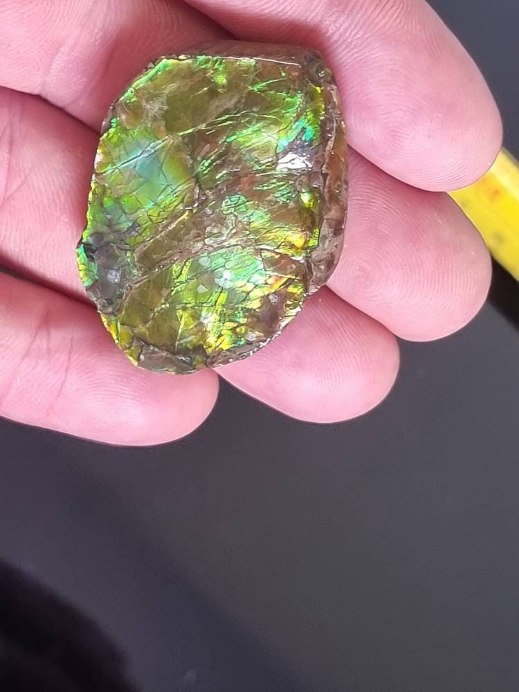 3am) Ammolite Crystal Gemstone