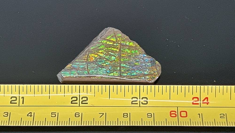 4am) Ammolite Crystal Gemstone