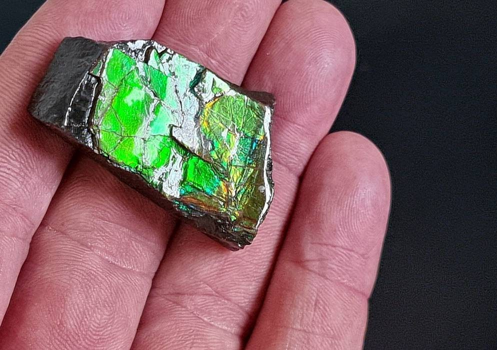 2am) Ammolite Crystal Gemstone