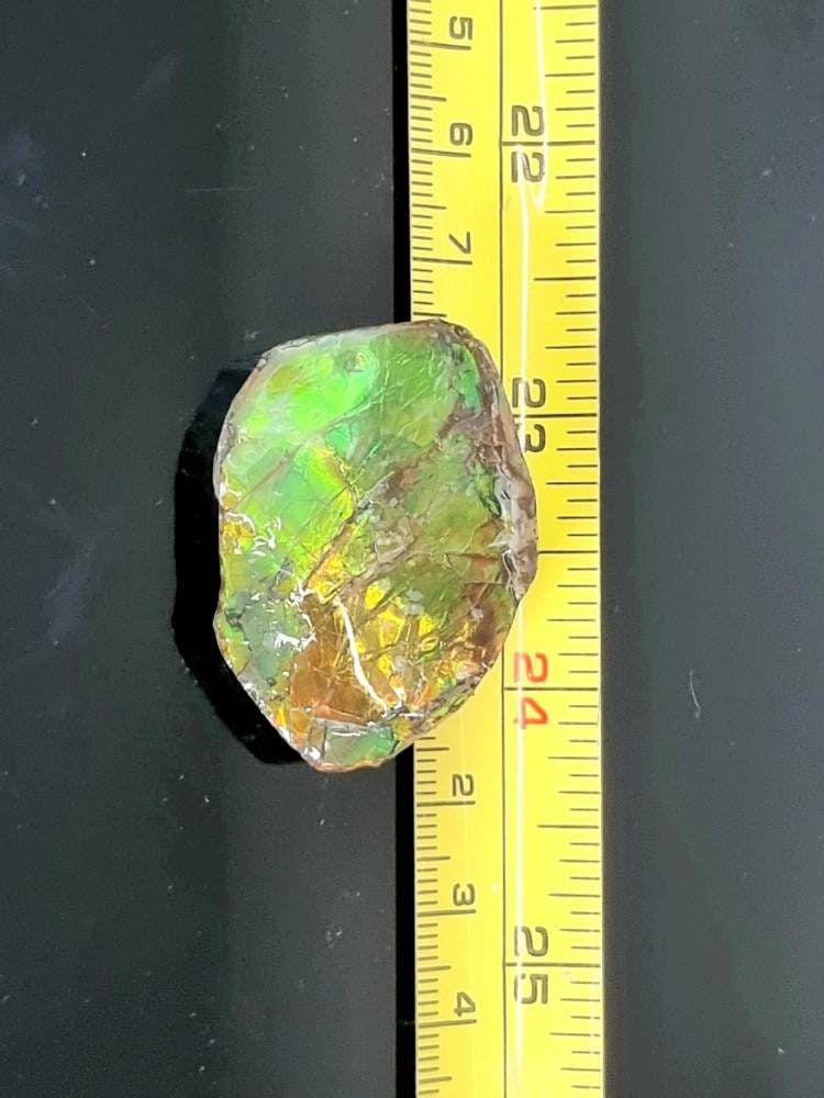 3am) Ammolite Crystal Gemstone