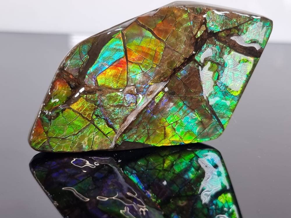 2ap) large Ammolite Crystal Gemstone