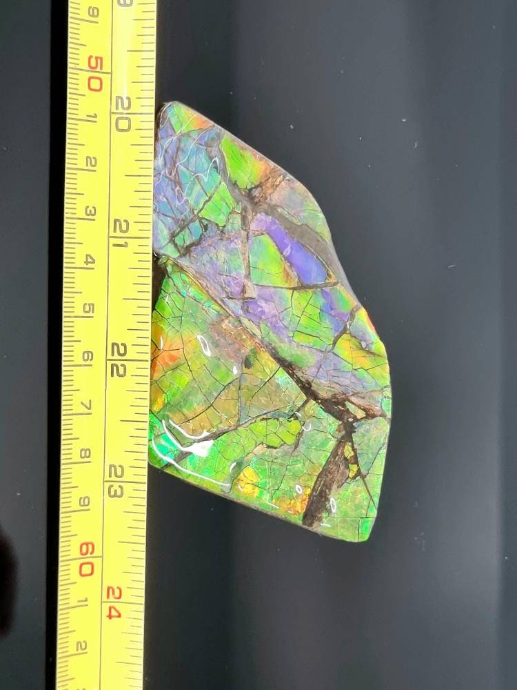 2ap) large Ammolite Crystal Gemstone