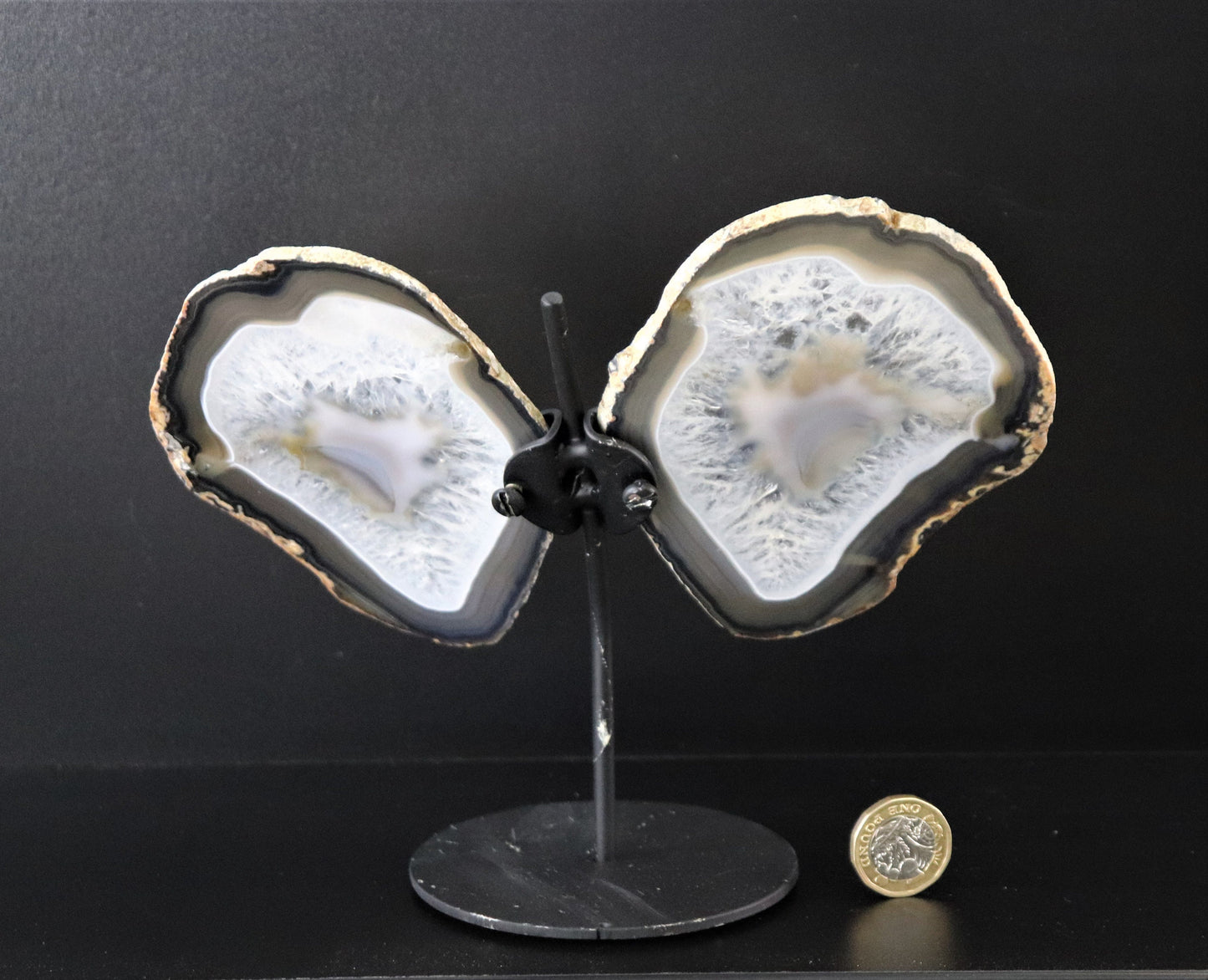 8) Large Agate Crystal Slice Butterfly Black