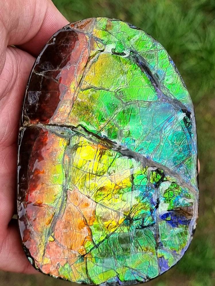 1ap) Large Ammolite Crystal Gemstone