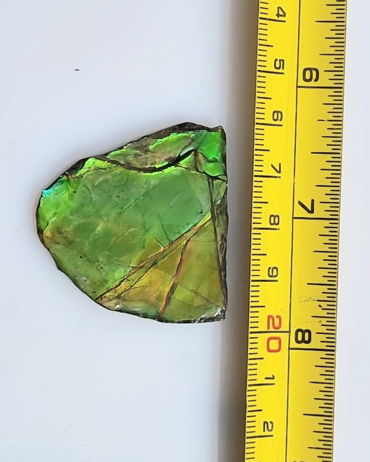 19a) Ammolite Crystal Gemstone