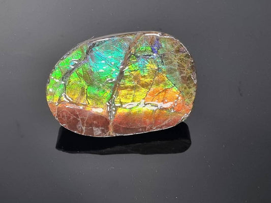 Large Ammolite Crystal Gemstone