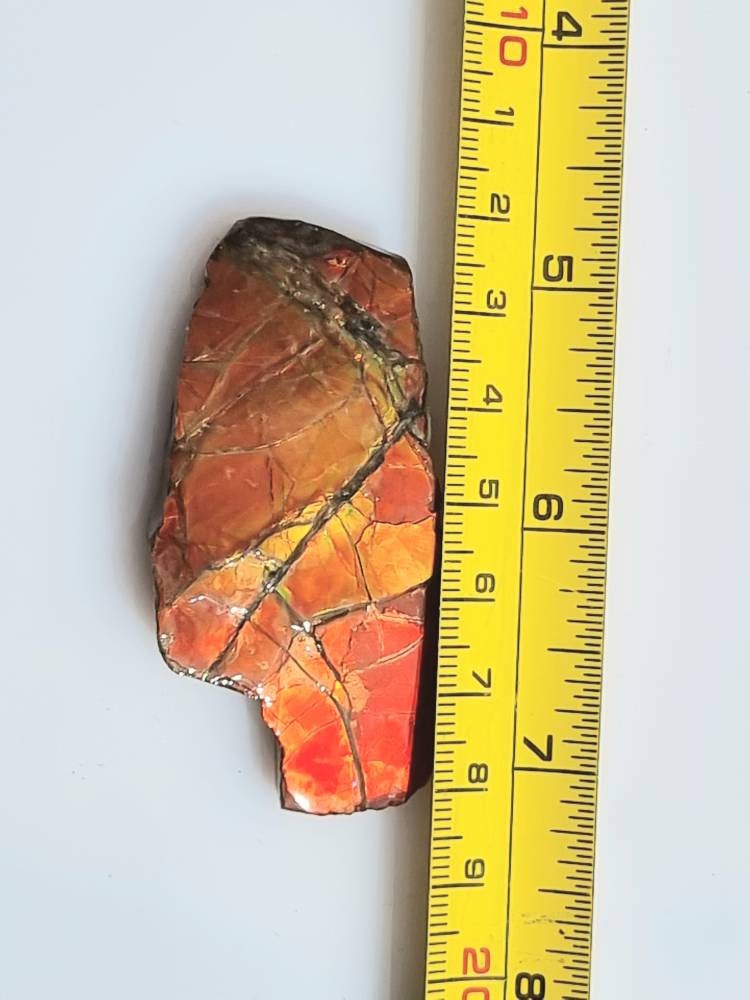 18a) Ammolite Crystal Gemstone