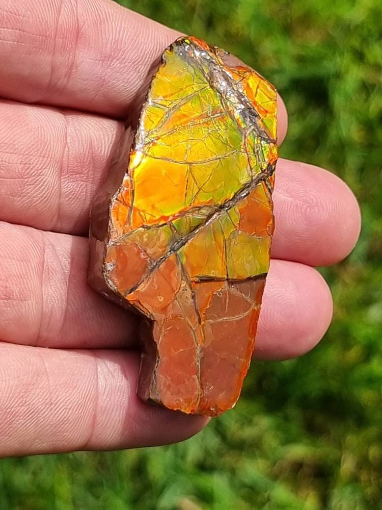 18a) Ammolite Crystal Gemstone