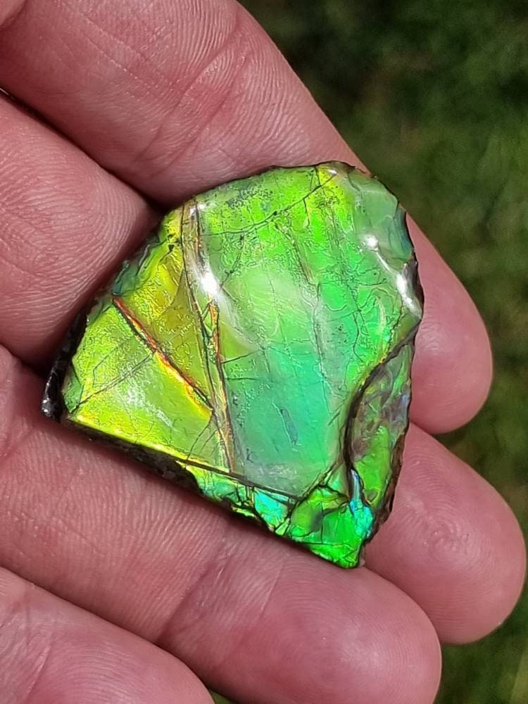 19a) Ammolite Crystal Gemstone