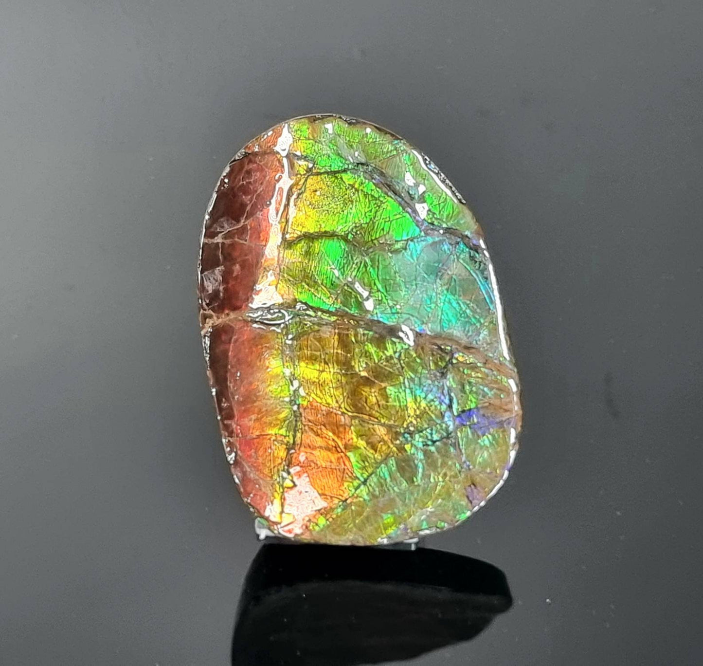 1ap) Large Ammolite Crystal Gemstone