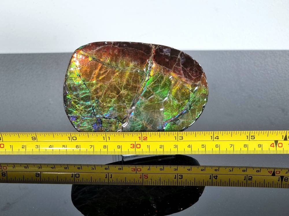 1ap) Large Ammolite Crystal Gemstone