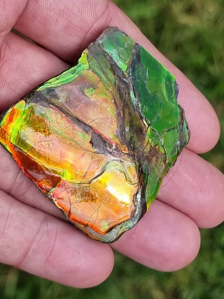17a) Ammolite Crystal Gemstone