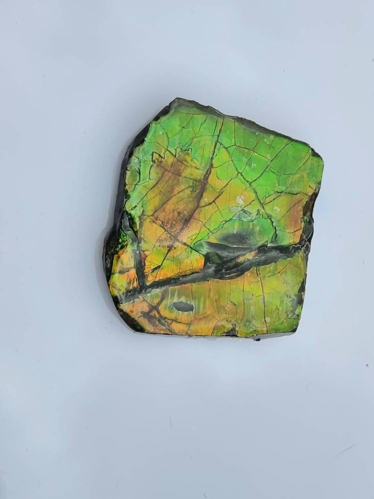 16a) Ammolite Crystal Gemstone