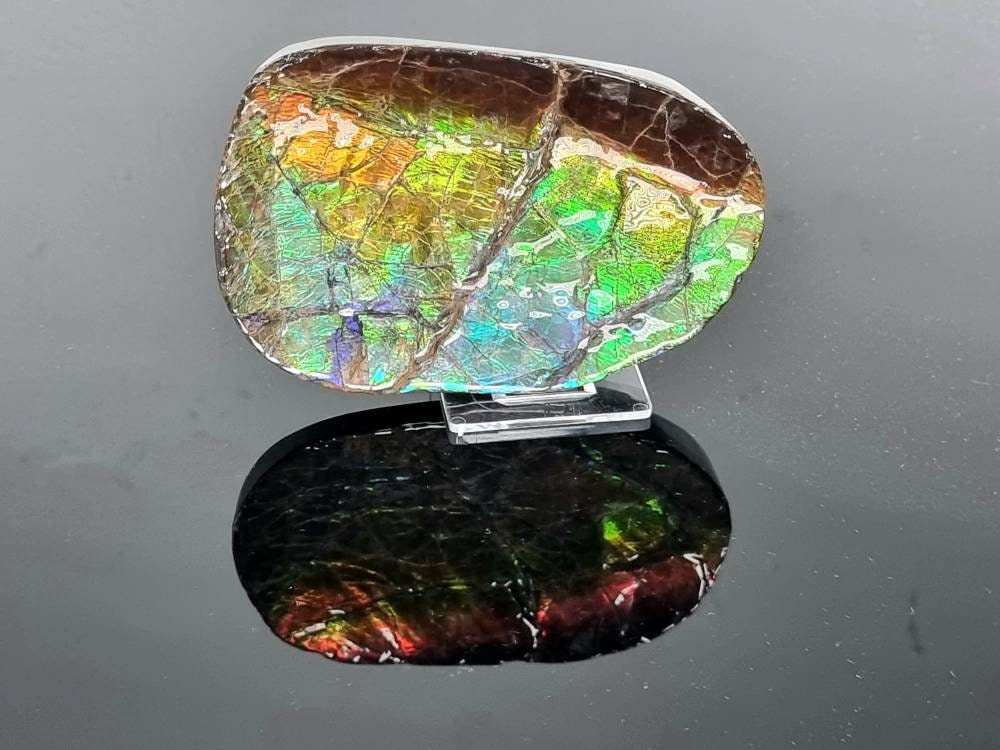 1ap) Large Ammolite Crystal Gemstone