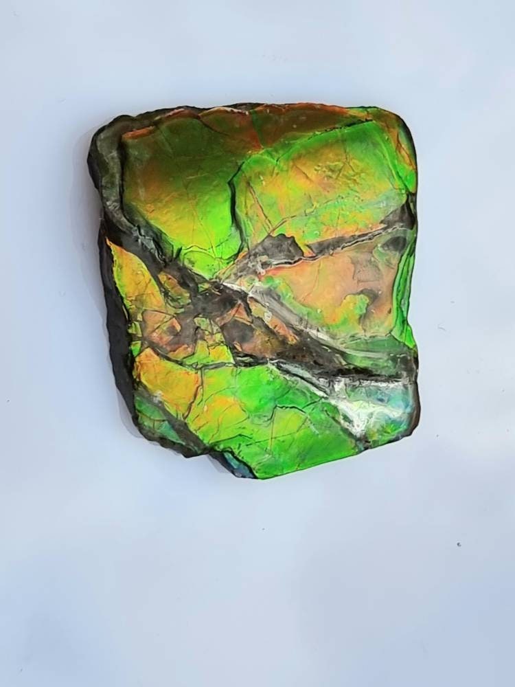 17a) Ammolite Crystal Gemstone