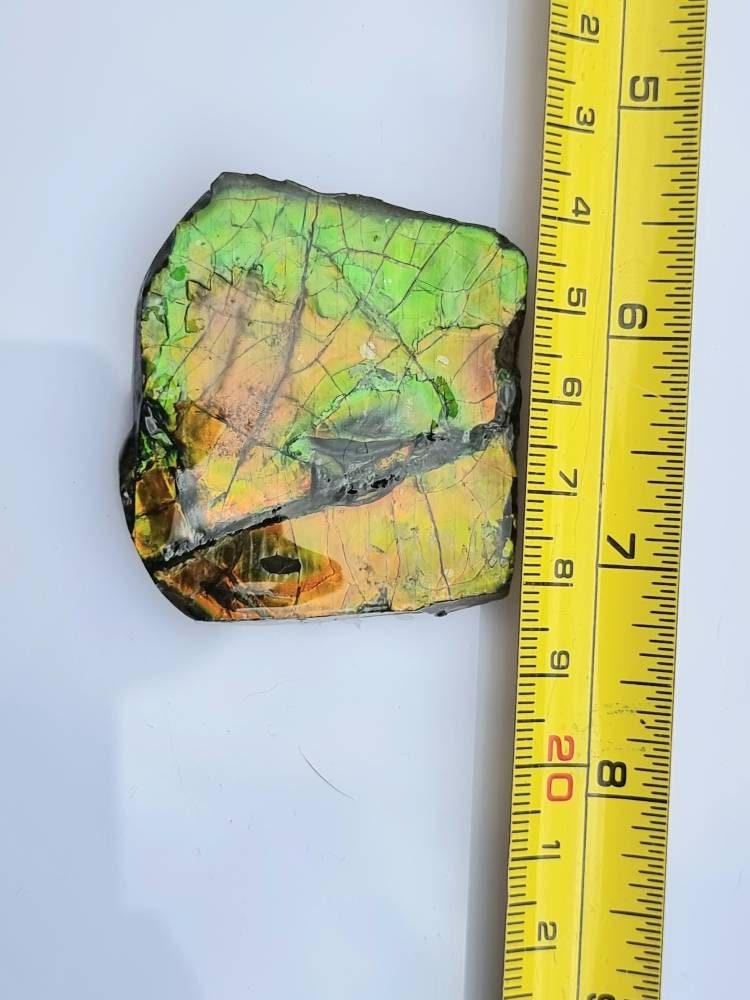 16a) Ammolite Crystal Gemstone