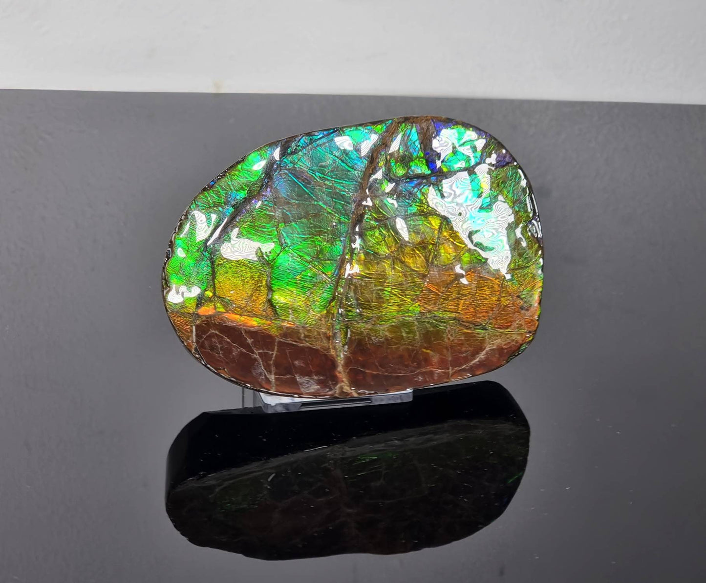 1ap) Large Ammolite Crystal Gemstone