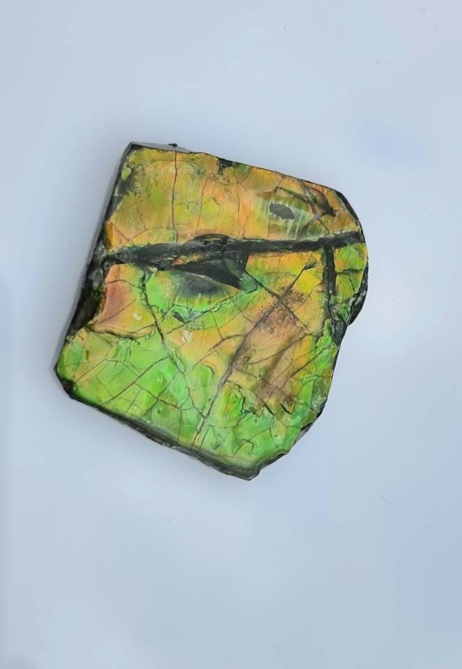 16a) Ammolite Crystal Gemstone