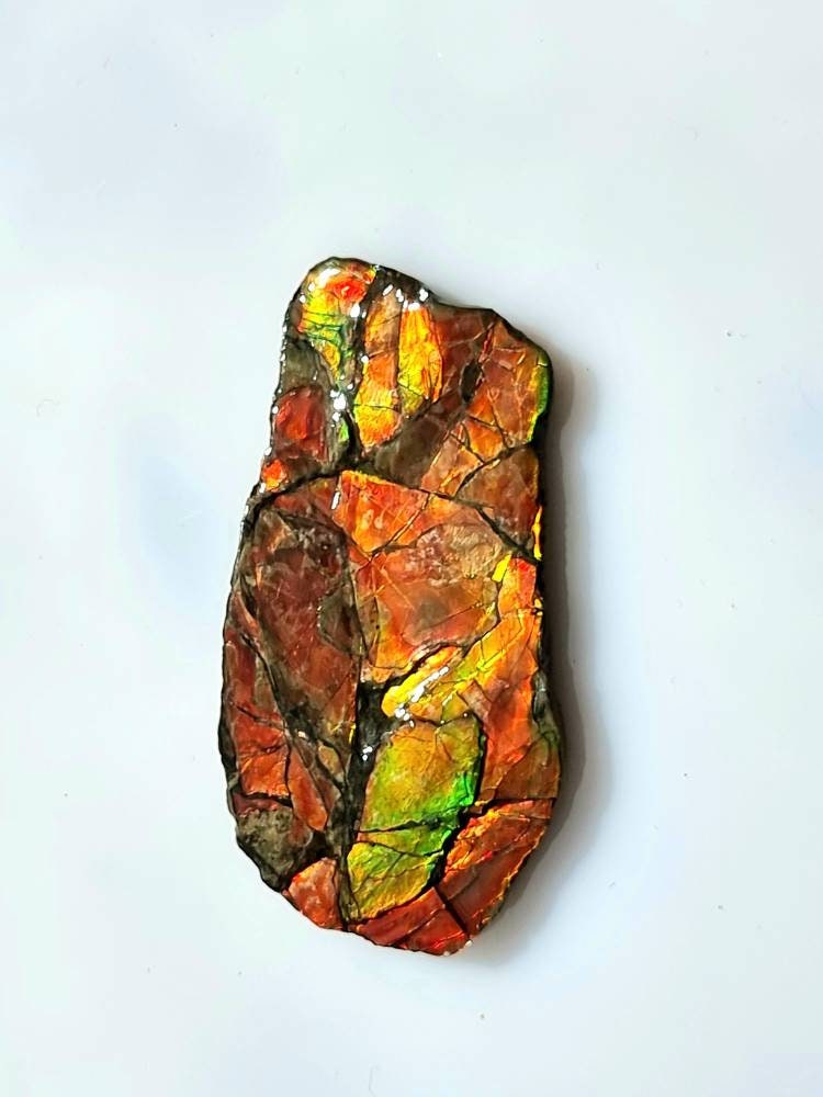 Large Ammolite Crystal Gemstone
