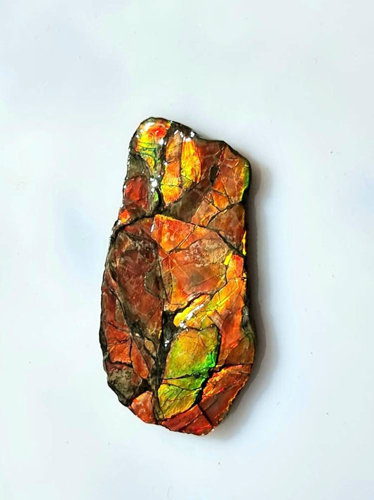 Large Ammolite Crystal Gemstone