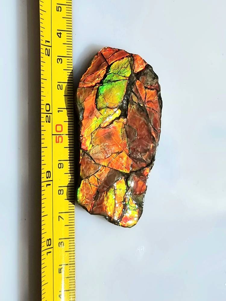 12a) Ammolite Crystal Gemstone