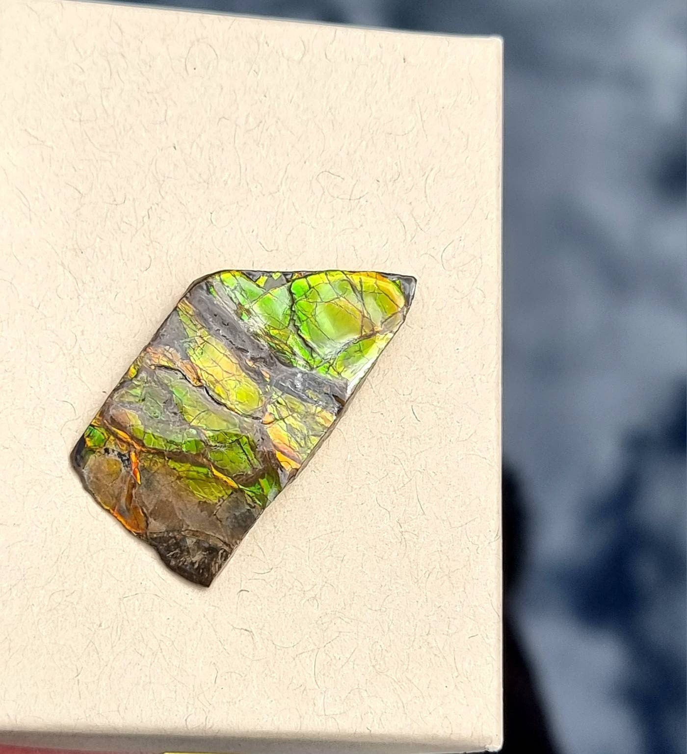 Large Ammolite Crystal Gemstone