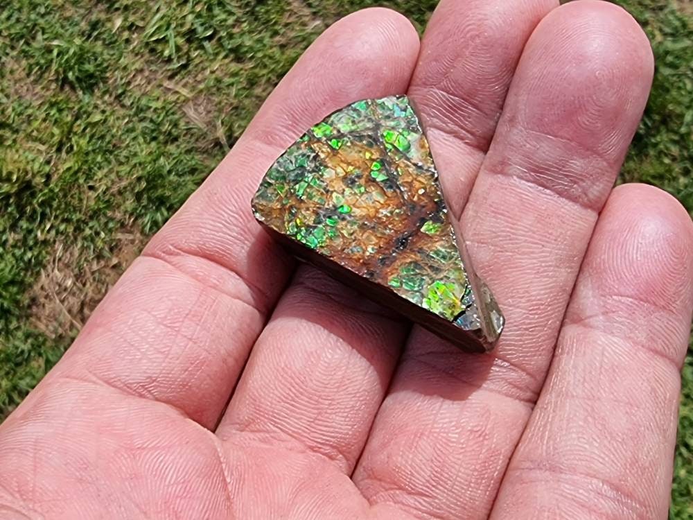 20) Ammolite Crystal Gemstone