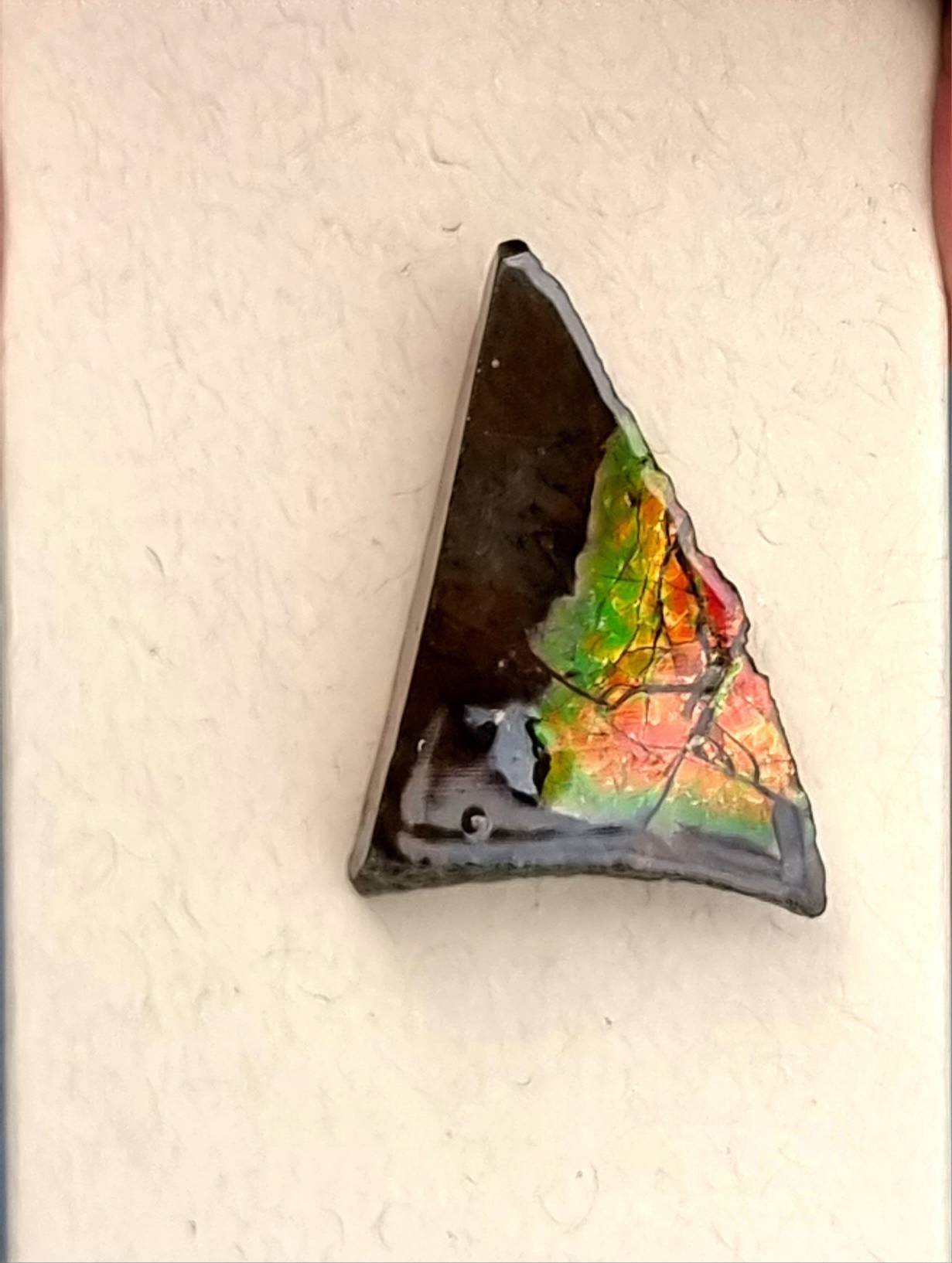 Large Ammolite Crystal Gemstone