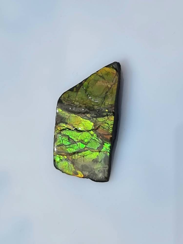 19) Ammolite Crystal Gemstone