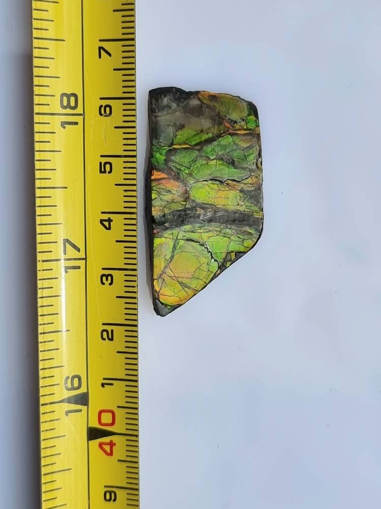 19) Ammolite Crystal Gemstone