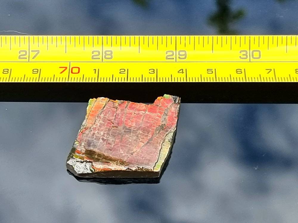 16) Ammolite Crystal Gemstone