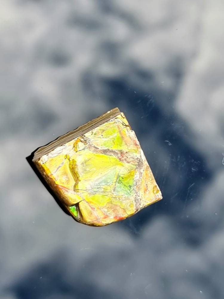 Large Ammolite Crystal Gemstone rare unique gold