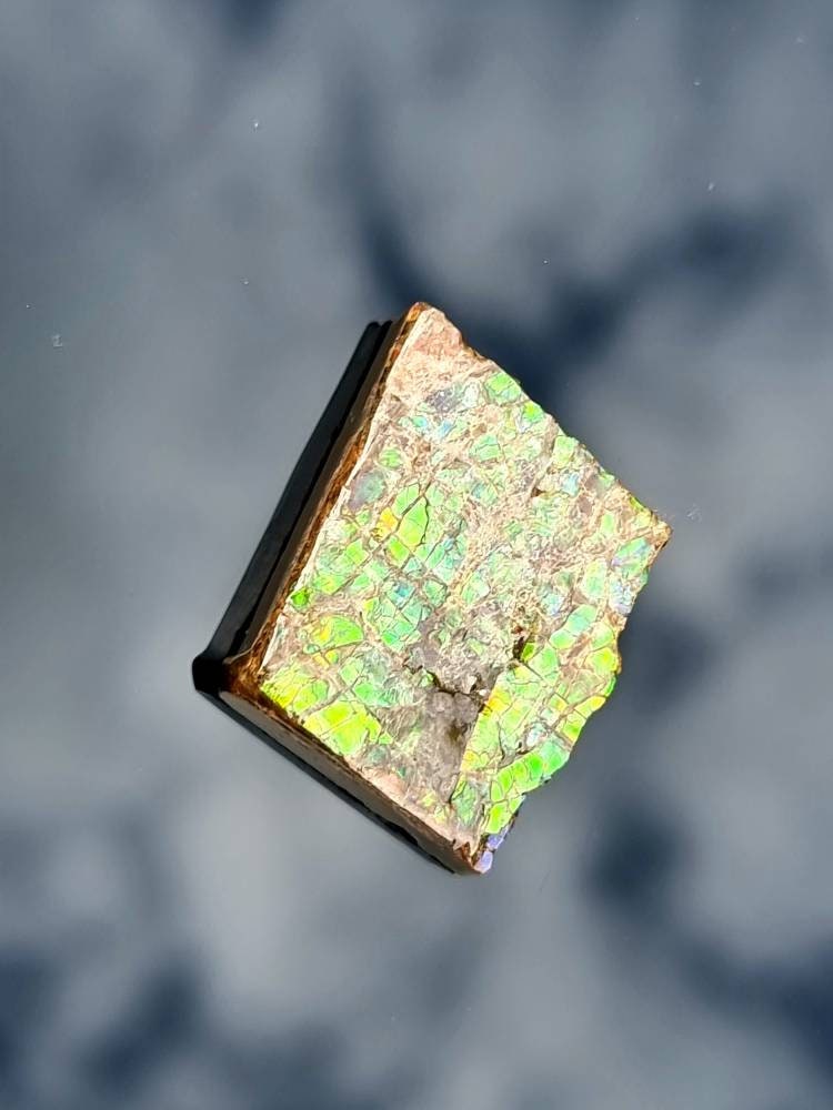 13) Ammolite Crystal Gemstone