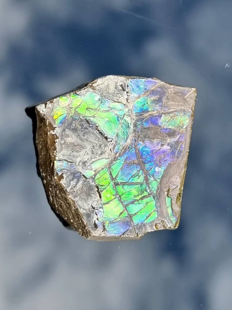 Large Ammolite Crystal Gemstone rare unique