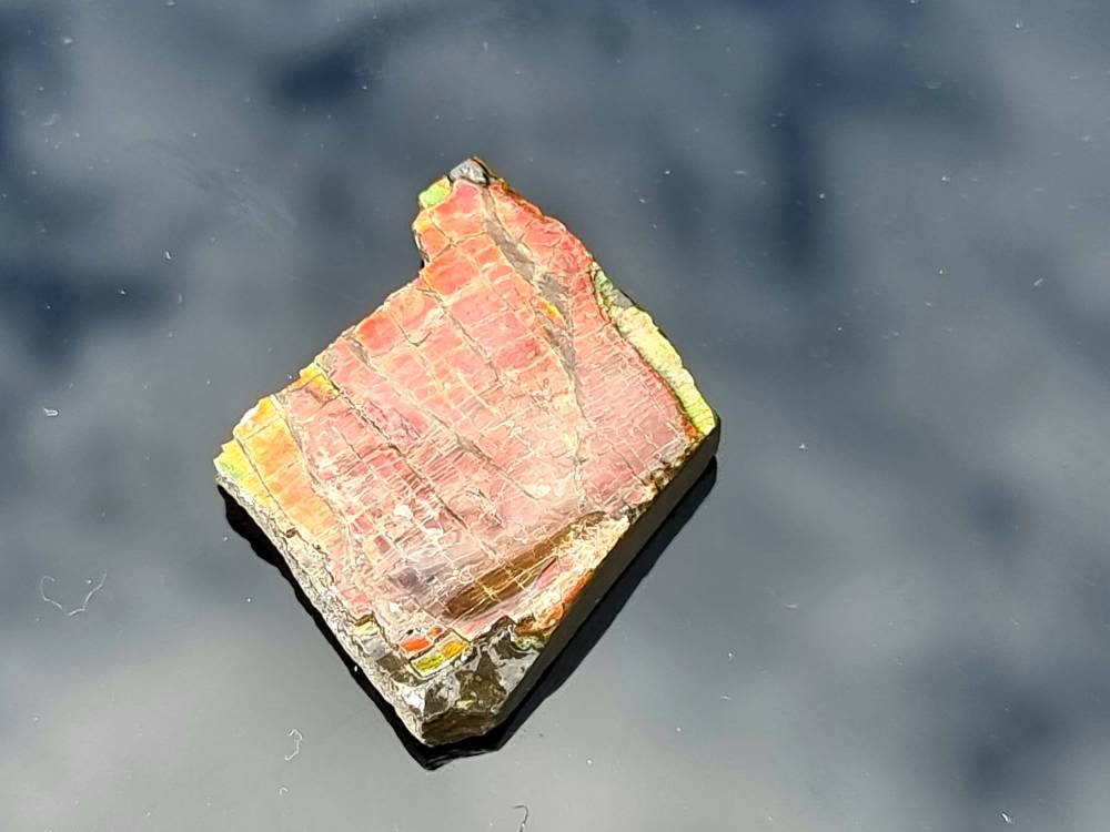 16) Ammolite Crystal Gemstone