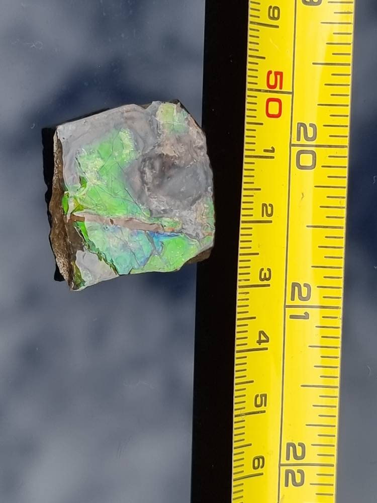 14) Ammolite Crystal Gemstone