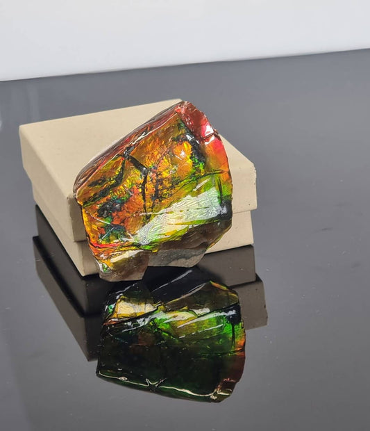 Large Ammolite Crystal Gemstone rare unique