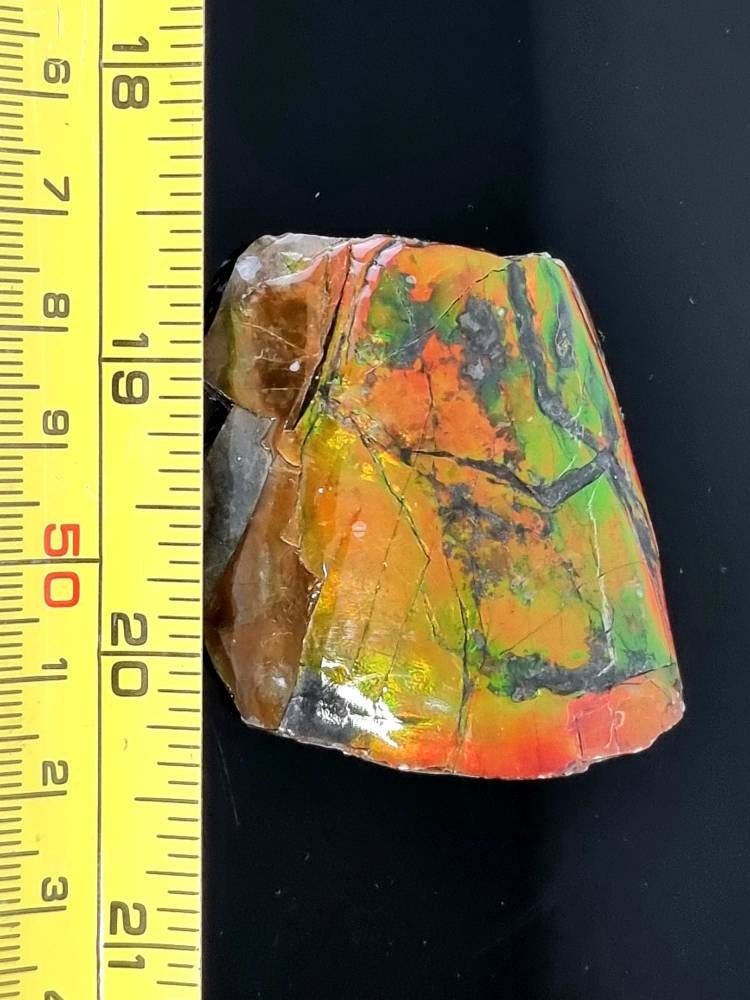 11a) Ammolite Crystal Gemstone